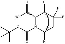 2-Azabicyclo[2.2.2]octane-2,3-dicarboxylic acid, 5,5-difluoro-, 2-(1,1-dimethyle… Structure