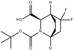 2-Azabicyclo[2.2.2]octane-2,3-dicarboxylic acid, 5,5-difluoro-, 2-(1,1-dimethyle… Structure