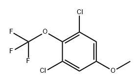 Benzene, 1,3-dichloro-5-methoxy-2-(trifluoromethoxy)- 구조식 이미지