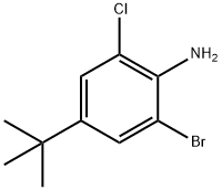 Benzenamine, 2-bromo-6-chloro-4-(1,1-dimethylethyl)- 구조식 이미지