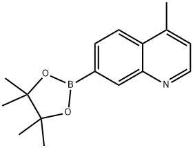 Quinoline, 4-methyl-7-(4,4,5,5-tetramethyl-1,3,2-dioxaborolan-2-yl)- 구조식 이미지