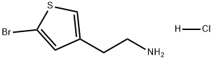 3-Thiopheneethanamine, 5-bromo-, hydrochloride (1:1) Structure