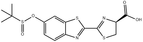 SEluc-2 Structure