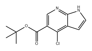 1H-Pyrrolo[2,3-b]pyridine-5-carboxylic acid, 4-chloro-, 1,1-dimethylethyl ester Structure