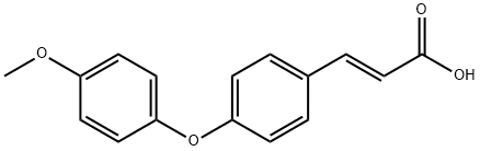 JR-8538, (E)-3-(4-(4-Methoxyphenoxy)phenyl)acrylic acid, 97% 구조식 이미지