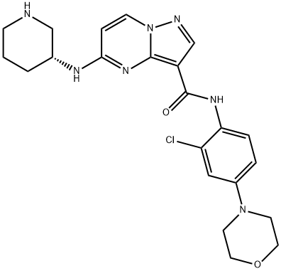 Pyrazolo[1,5-a]pyrimidine-3-carboxamide, N-[2-chloro-4-(4-morpholinyl)phenyl]-5-[(3R)-3-piperidinylamino]- Structure