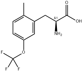 (2S)-2-amino-3-[2-methyl-5-(trifluoromethoxy)phenyl]propanoic acid Structure