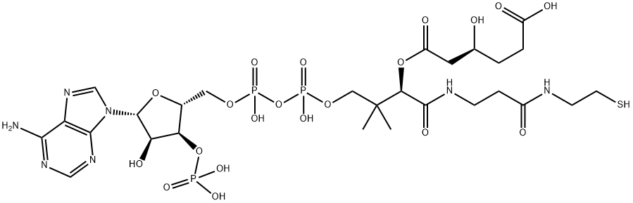 Coenzyme A, S-(6-hydrogen 3-hydroxyhexanedioate) Structure