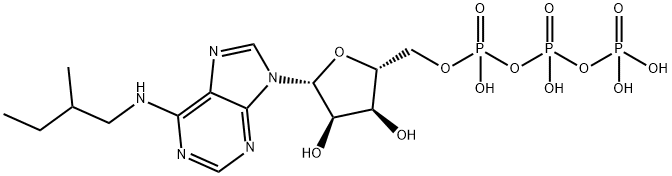 6-(2-MeBu)-ATP Structure