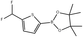 1,3,2-Dioxaborolane, 2-[5-(difluoromethyl)-2-thienyl]-4,4,5,5-tetramethyl- 구조식 이미지