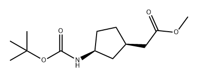 Cyclopentaneacetic acid, 3-[[(1,1-dimethylethoxy)carbonyl]amino]-, methyl ester, (1R,3S)- Structure