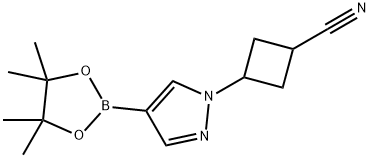 Cyclobutanecarbonitrile, 3-[4-(4,4,5,5-tetramethyl-1,3,2-dioxaborolan-2-yl)-1H-pyrazol-1-yl]- Structure