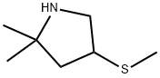 2,2-dimethyl-4-(methylsulfanyl)pyrrolidine Structure