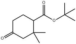 tert-butyl 2,2-dimethyl-4-oxocyclohexane-1-carboxylate Structure