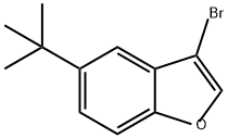 3-bromo-5-tert-butylbenzofuran 구조식 이미지