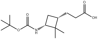 3-[(1S,3R)-3-{[(tert-butoxy)carbonyl]amino}-2,2-di
methylcyclobutyl]propanoic acid Structure