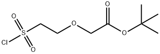 tert-butyl 2-[2-(chlorosulfonyl)ethoxy]acetate Structure