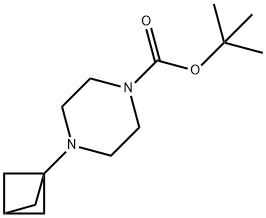 tert-butyl 
4-{bicyclo[1.1.1]pentan-1-yl}piperazine-1-carboxyl ate Structure