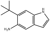 6-(tert-butyl)-1H-indol-5-amine Structure