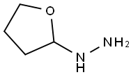 Hydrazine, (tetrahydro-2-furanyl)- Structure