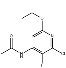 Acetamide, N-[2-chloro-3-fluoro-6-(1-methylethoxy)-4-pyridinyl]- 구조식 이미지