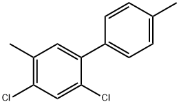 1,1'-Biphenyl, 2,4-dichloro-4',5-dimethyl- Structure