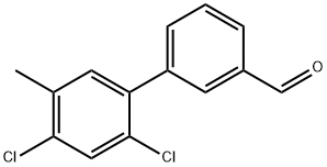 [1,1'-Biphenyl]-3-carboxaldehyde, 2',4'-dichloro-5'-methyl- Structure