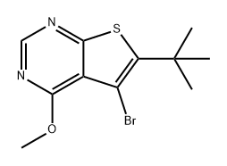 Thieno[2,3-d]pyrimidine, 5-bromo-6-(1,1-dimethylethyl)-4-methoxy- 구조식 이미지