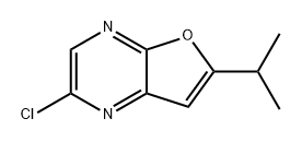 Furo[2,3-b]pyrazine, 2-chloro-6-(1-methylethyl)- Structure