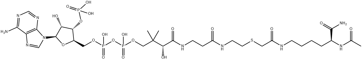 Coenzyme A, S-[2-[[(5S)-5-(acetylamino)-6-amino-6-oxohexyl]amino]-2-oxoethyl]- Structure