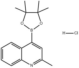 Quinoline, 2-methyl-4-(4,4,5,5-tetramethyl-1,3,2-dioxaborolan-2-yl)-, hydrochloride (1:1) Structure