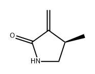 2-Pyrrolidinone, 4-methyl-3-methylene-, (4R)- Structure