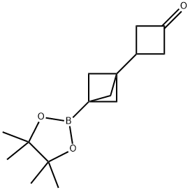Cyclobutanone, 3-[3-(4,4,5,5-tetramethyl-1,3,2-dioxaborolan-2-yl)bicyclo[1.1.1]pent-1-yl]- Structure