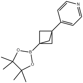 4-(3-(4,4,5,5-Tetramethyl-1,3,2-dioxaborolan-2-yl)bicyclo[1.1.1]pentan-1-yl)pyridine 구조식 이미지