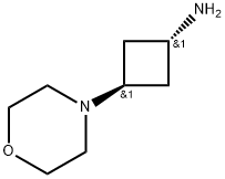 Cyclobutanamine, 3-(4-morpholinyl)-, trans- 구조식 이미지