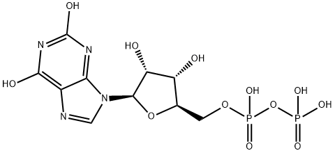 XDP Structure