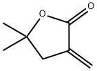 2(3H)-Furanone, dihydro-5,5-dimethyl-3-methylene- Structure