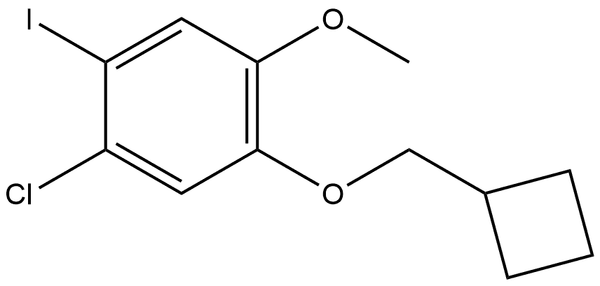 1-chloro-5-(cyclobutylmethoxy)-2-iodo-4-methoxybenzene Structure