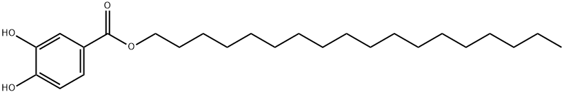 Benzoic acid, 3,4-dihydroxy-, octadecyl ester Structure