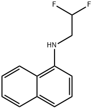 N-(2,2-difluoroethyl)naphthalen-1-amine Structure