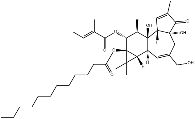 phorbol-12-o-tiglyl-13-dodecanoate Structure