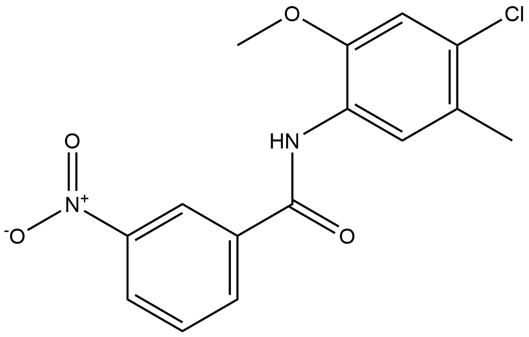 N-(4-chloro-2-methoxy-5-methylphenyl)-3-nitrobenzamide Structure