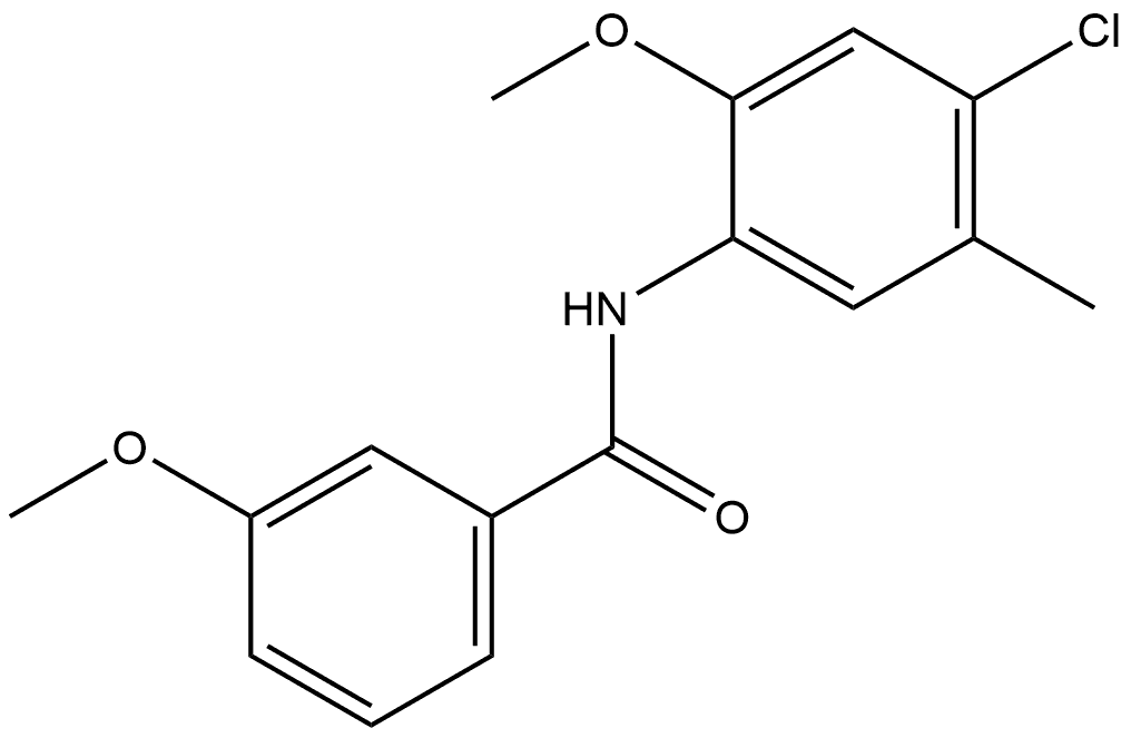 N-(4-Chloro-2-methoxy-5-methylphenyl)-3-methoxybenzamide Structure