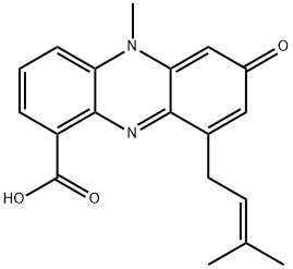 Endophenazine B Structure