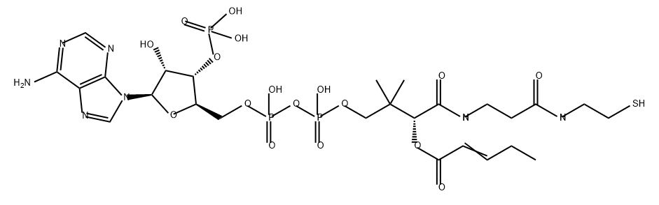 Coenzyme A, S-2-pentenoate Structure