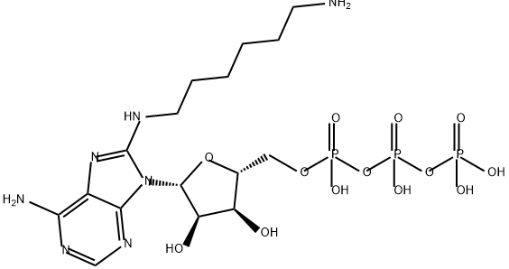 Adenosine 5'-(tetrahydrogen triphosphate), 8-[(6-aminohexyl)amino]- Structure