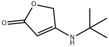 4-(tert-butylamino)-2,5-dihydrofuran-2-one Structure