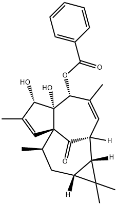 Euphorbia factor P2 Structure