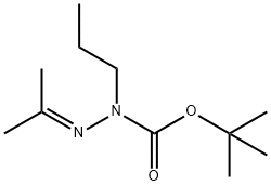 Hydrazinecarboxylic acid, 2-(1-methylethylidene)-1-propyl-, 1,1-dimethylethyl ester 구조식 이미지