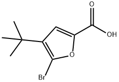 2-Furancarboxylic acid, 5-bromo-4-(1,1-dimethylethyl)- 구조식 이미지